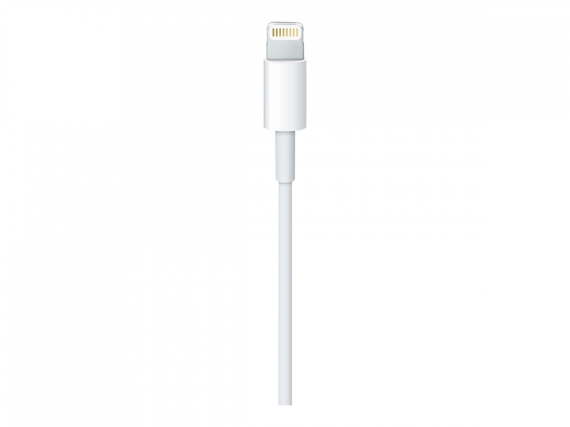 Apple Lightning-Kabel - Lightning mnnlich zu USB mnnlich