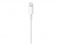 Apple Lightning-Kabel - Lightning mnnlich zu USB mnnlich