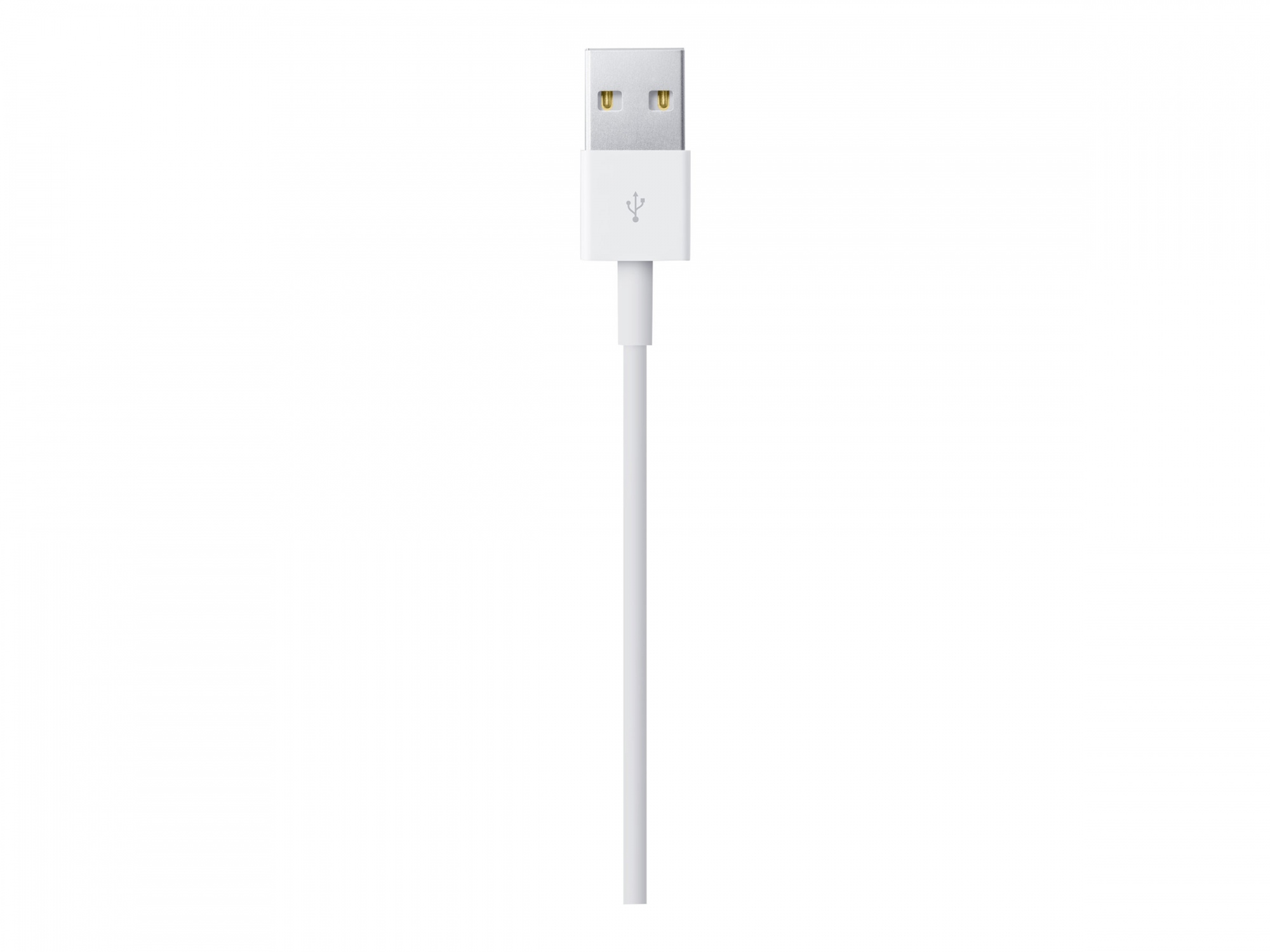 Apple Lightning-Kabel - Lightning mnnlich zu USB mnnlich