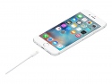 Apple Lightning-Kabel - Lightning mnnlich zu USB mnnlich